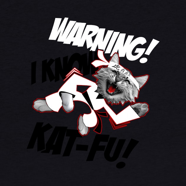 Warning! I Know Kat-Fu! by veerkun